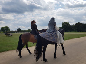 Part of the equestrian display at Cha,mbord