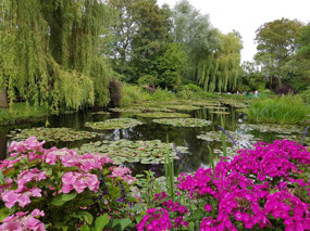 Monet's water garden