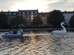 Swan boats in Copenhagen