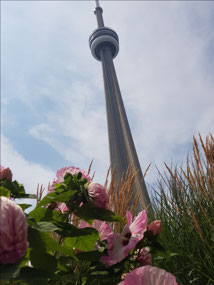 The CN tower from below