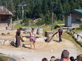 The Lumber Show