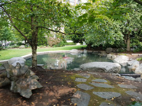 Japanese Garden on the North Shore