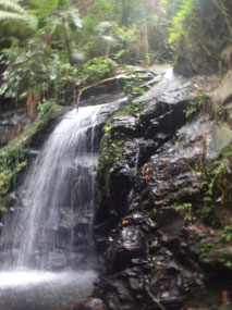 The lower falls