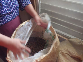 Bag of beans
