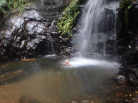Carol under the lower falls