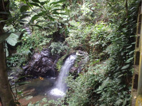 The lower falls