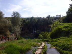 First look at the falls