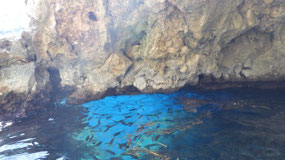 In the cave