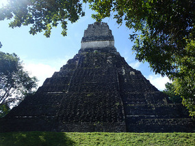 At Tikal
