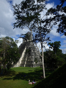 At Tikal