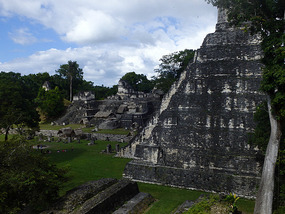 At Tikal