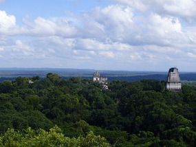 At Tikal