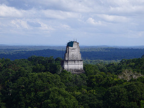 At Tikal