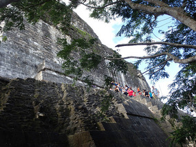 At Tikal