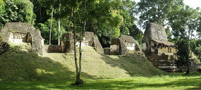 At Tikal