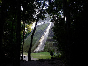 At Tikal