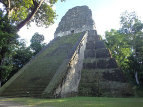 At Tikal