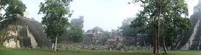 At Tikal