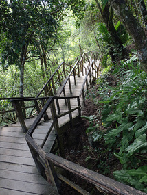 At Tikal--more stairs