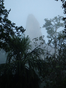 Still a morning haze