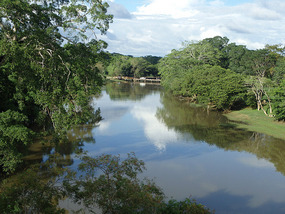 The Wooden Bridge from the New Bridge