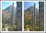 right=little Nikon and left=DSLR
