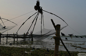 Chinese fish nets and crow