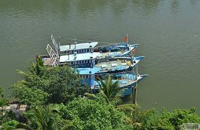 view from an high rise building in the Ashram