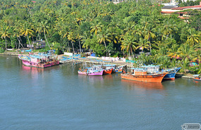 view from an high rise building in the Ashram
