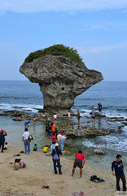 the vase rock