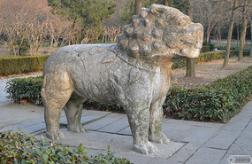lion