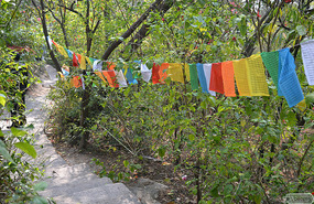 near the top of the mountain at Nanputuo temple