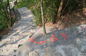 this way down