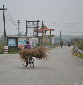 bicycles