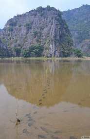 foot track