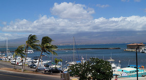 Maui Ocean Center23