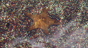 Maui Ocean Center46