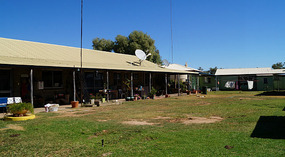 Charlotte Plains1