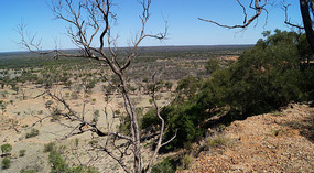 Bluff1