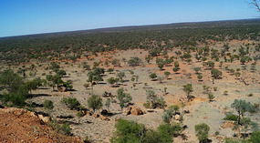 Bluff2