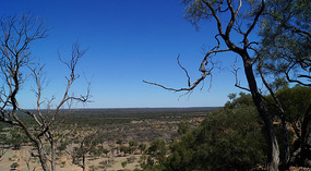 Bluff3