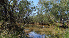 Fluss2