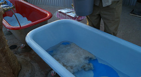 Match kommt in die Wanne