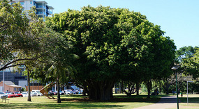 Esplanade9