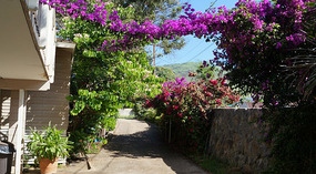 Garten1