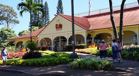 Dole Ananas Farm