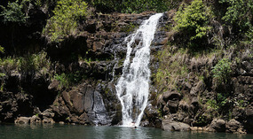 Waimea Falls1