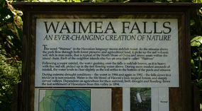 Waimea Falls3