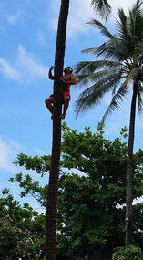 Samoa3