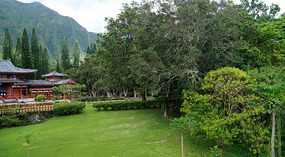 Tempel1